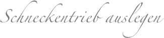 Schneckentrieb auslegen